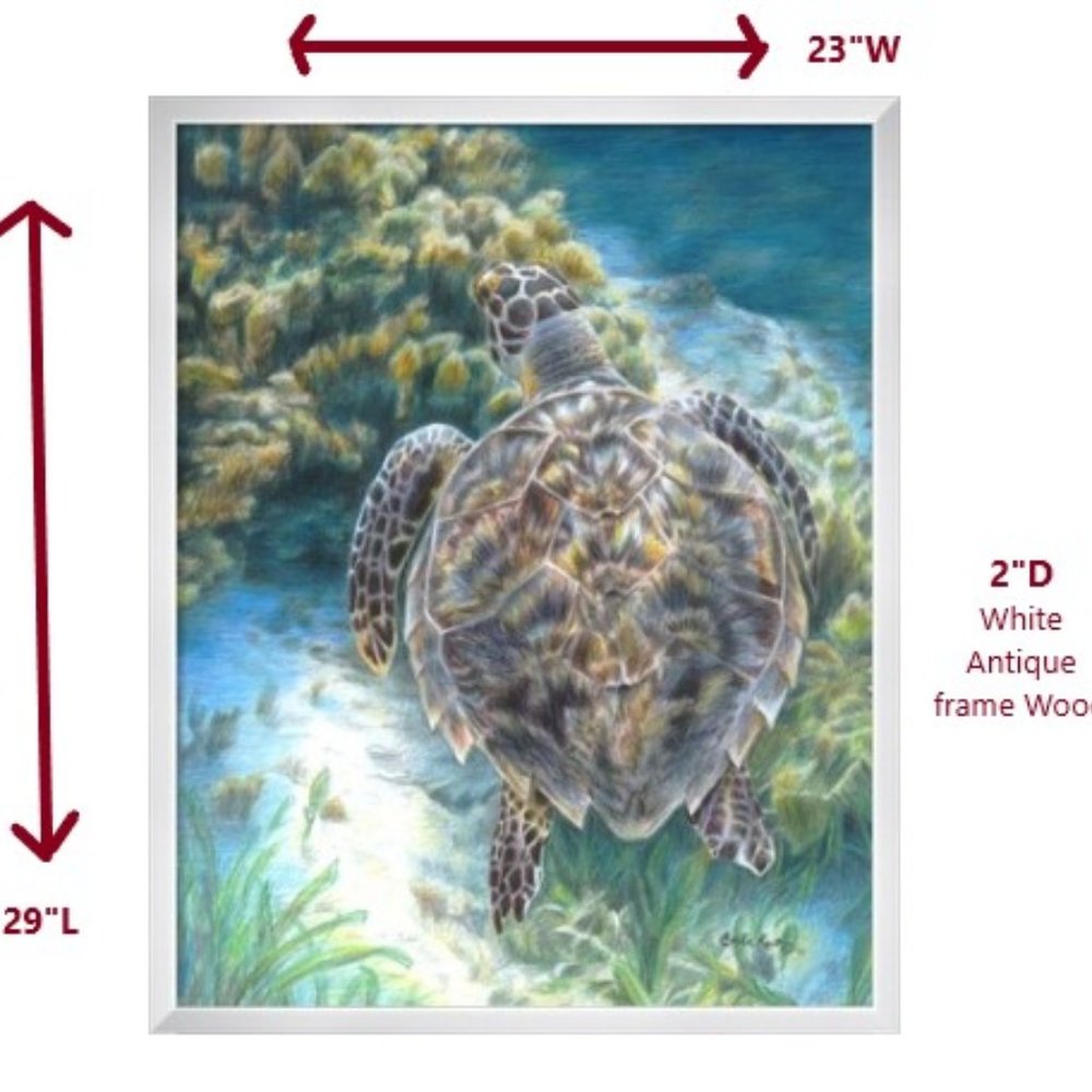 Carla Kurt "Into The Deep Ocean Sea Turtle" Wood Framed Painting Wall Art NWT - Picture 3 of 11